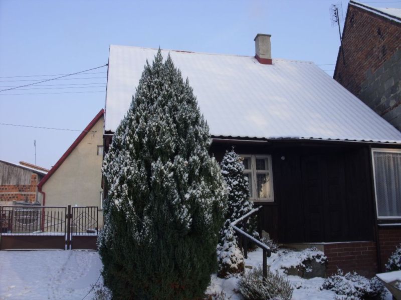 zima 01